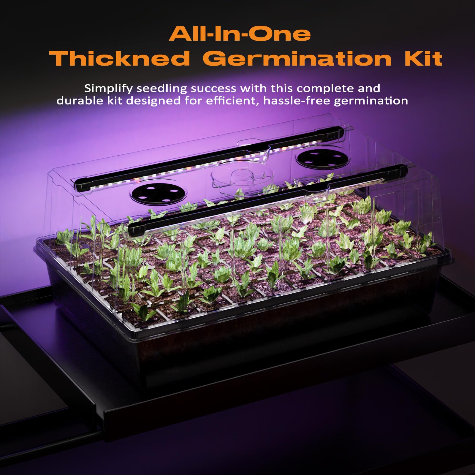 Patigrow accessories and tools layout showing included labels and gardening tools