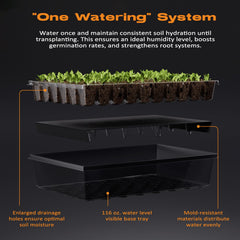 Patigrow humidity dome close-up showing vents for controlled moisture and healthier seedlings
