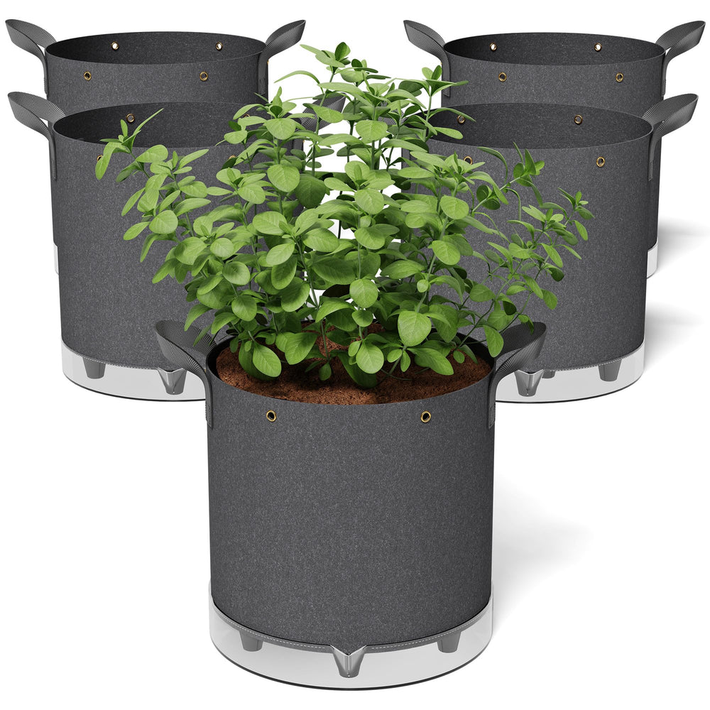 Patigrow front view of 5-pack grow bags showing durable fabric and label, promotes easy planting