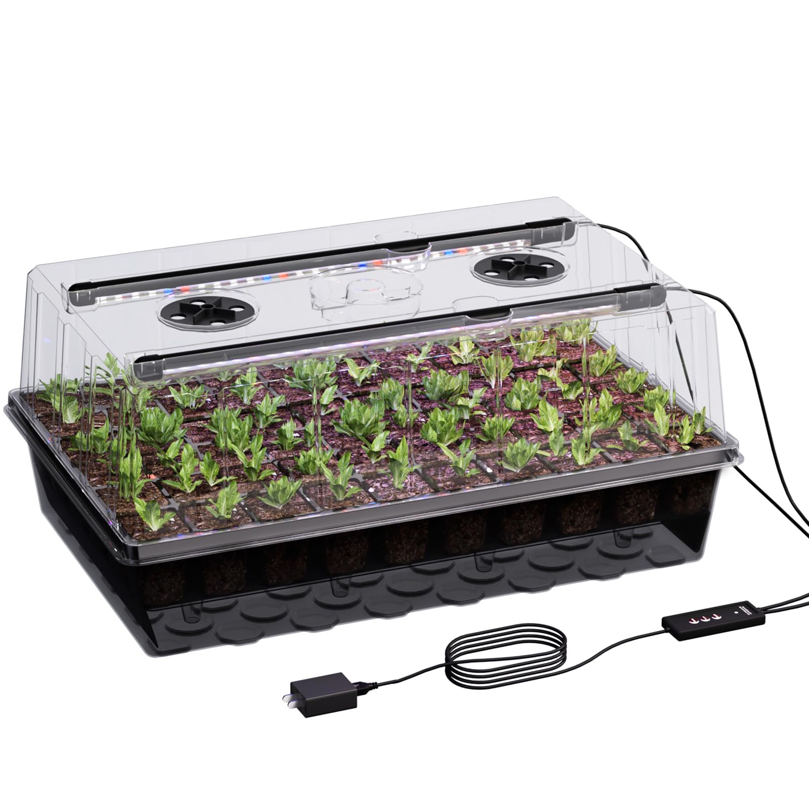 Patigrow kit front packaging showing full components and gift-ready presentation for easy setup