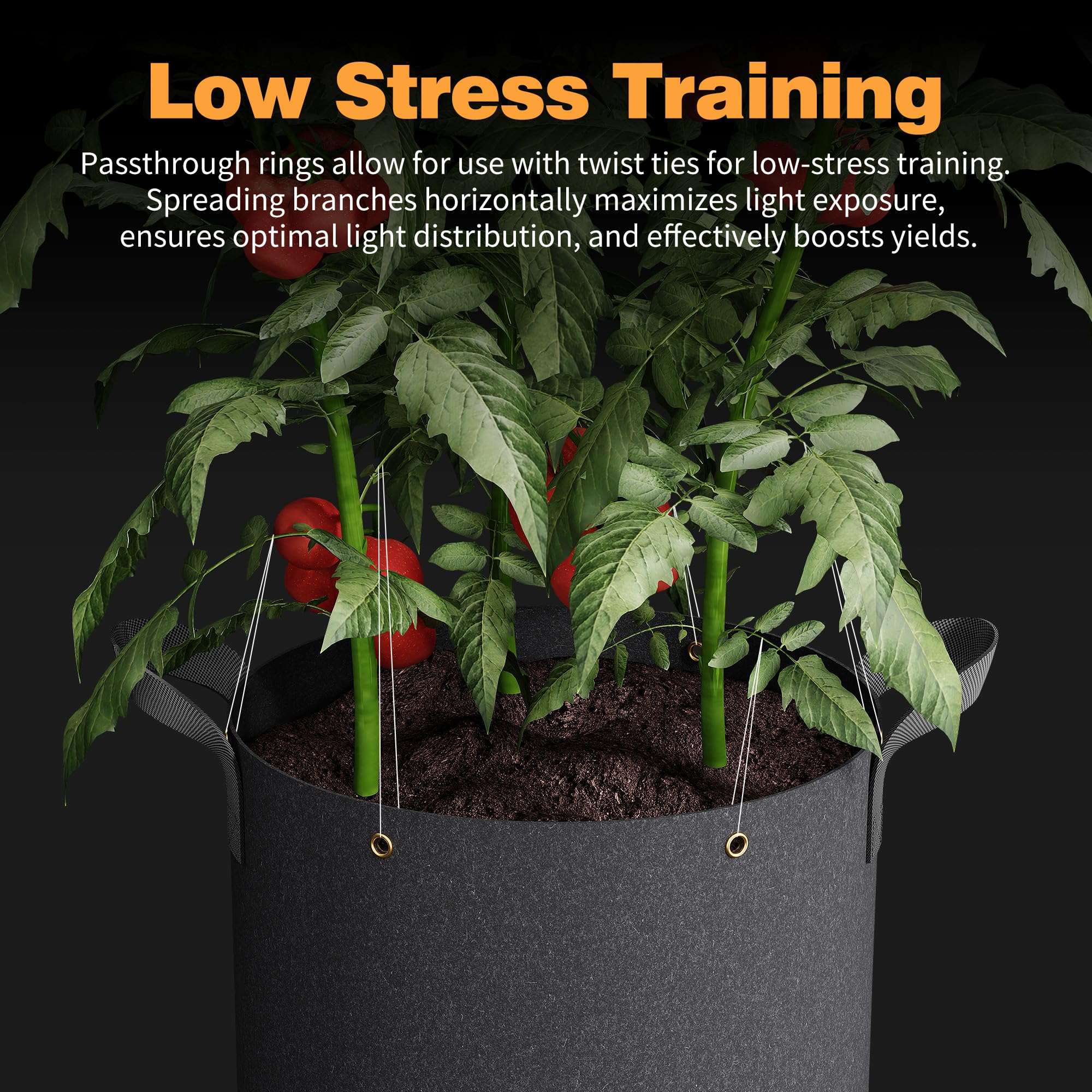 Patigrow reinforced handle stitching up close showing secure grip for safer moving