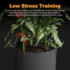 Patigrow reinforced handle stitching up close showing secure grip for safer moving