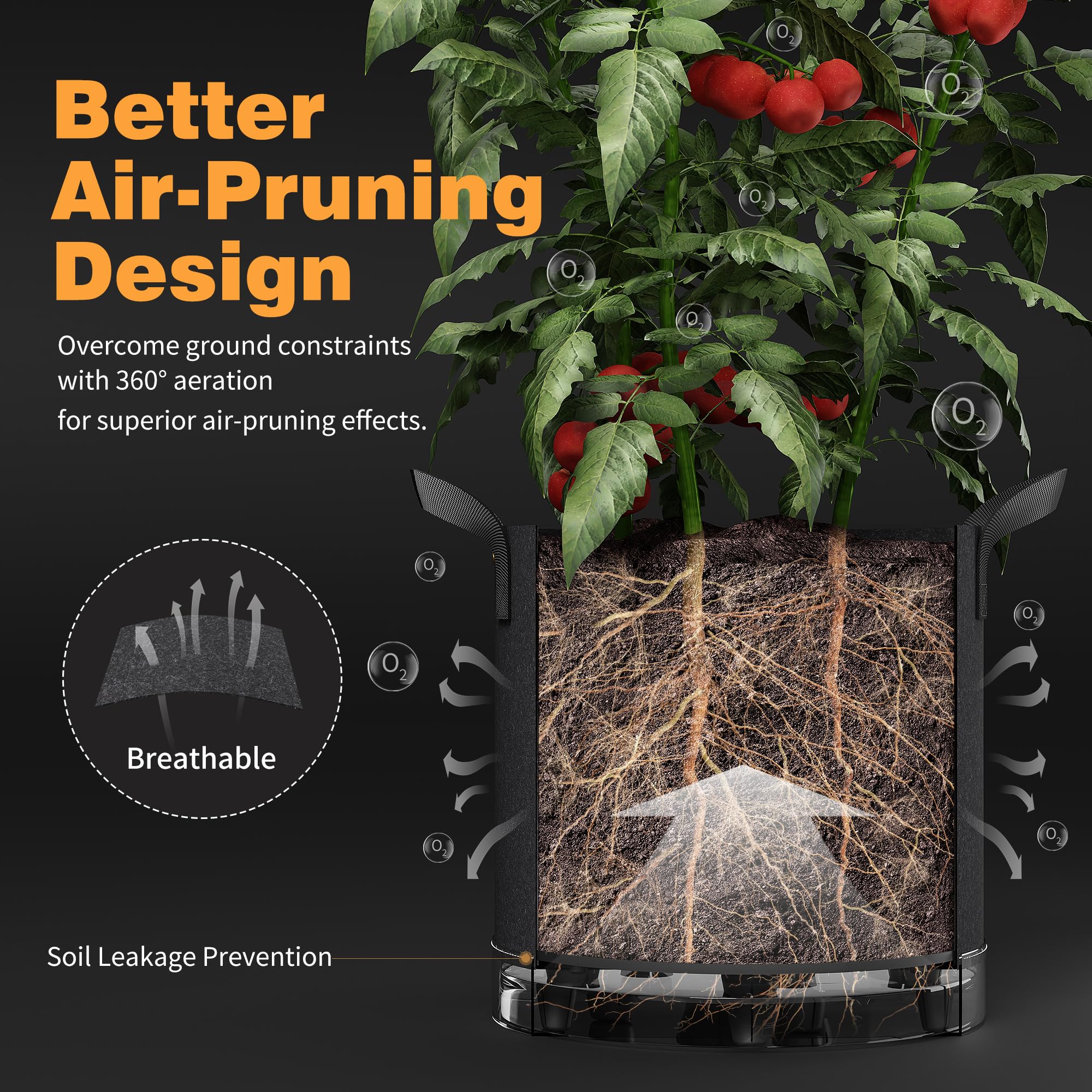Patigrow reservoir and rigid stand detail highlighting self-watering feature for consistent moisture