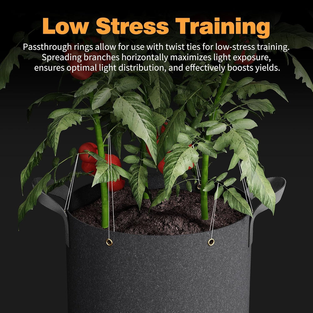 Patigrow reservoir and rigid stand view showing self watering advantage