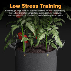 Patigrow reservoir and rigid stand view showing self watering advantage