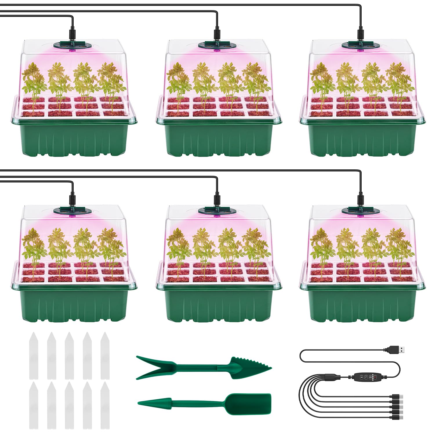 Pattiumo front view of full six-pack kit ready to use, organized and compact