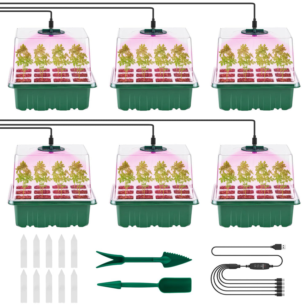Pattiumo front view of full six-pack kit ready to use, organized and compact