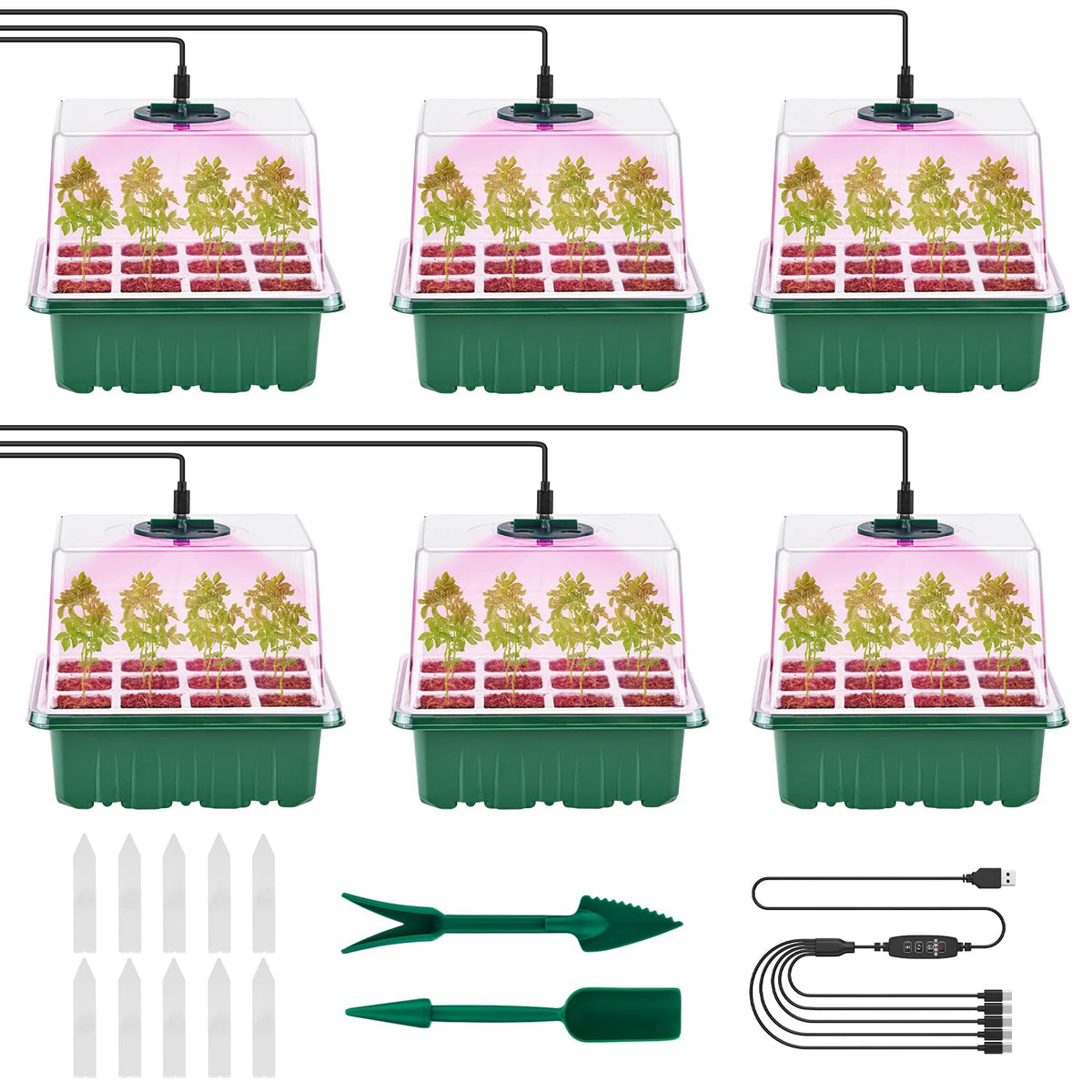 Pattiumo front view of full six-pack kit ready to use, organized and compact