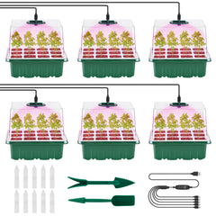 Pattiumo front view of full six-pack kit ready to use, organized and compact