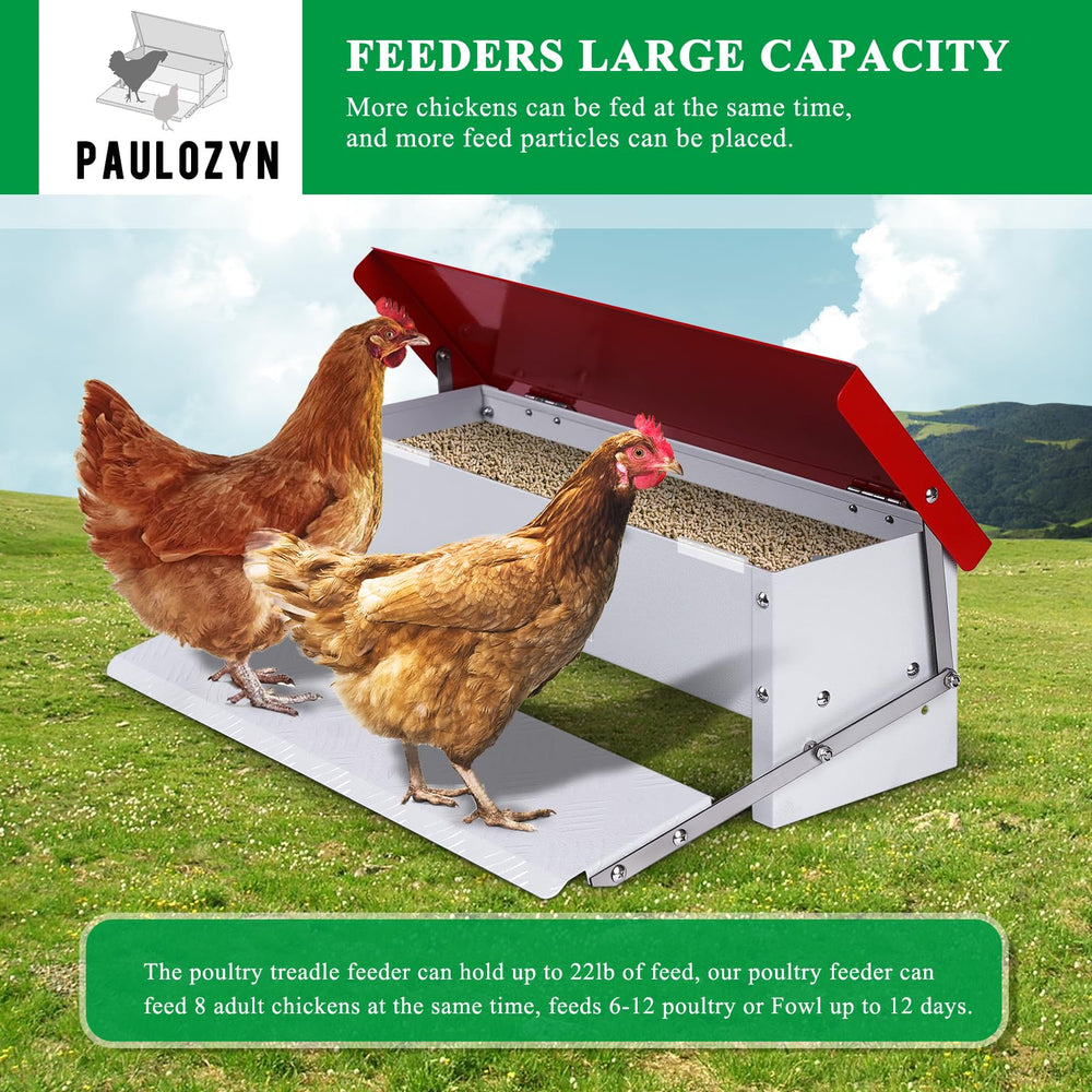 PAULOZYN close-up of pedal diamond pattern, improves chicken traction