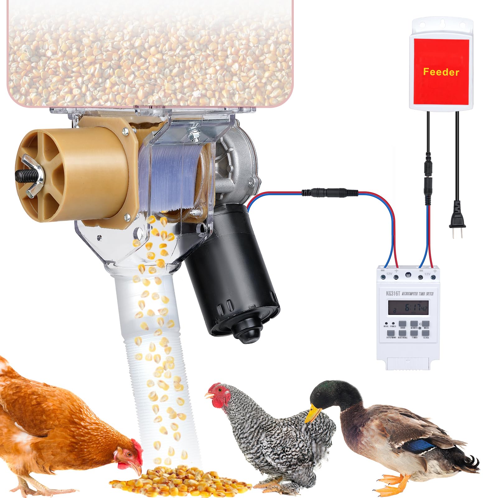 PAUQRWIE feeder front view showing compact dispenser and timer for reliable scheduling
