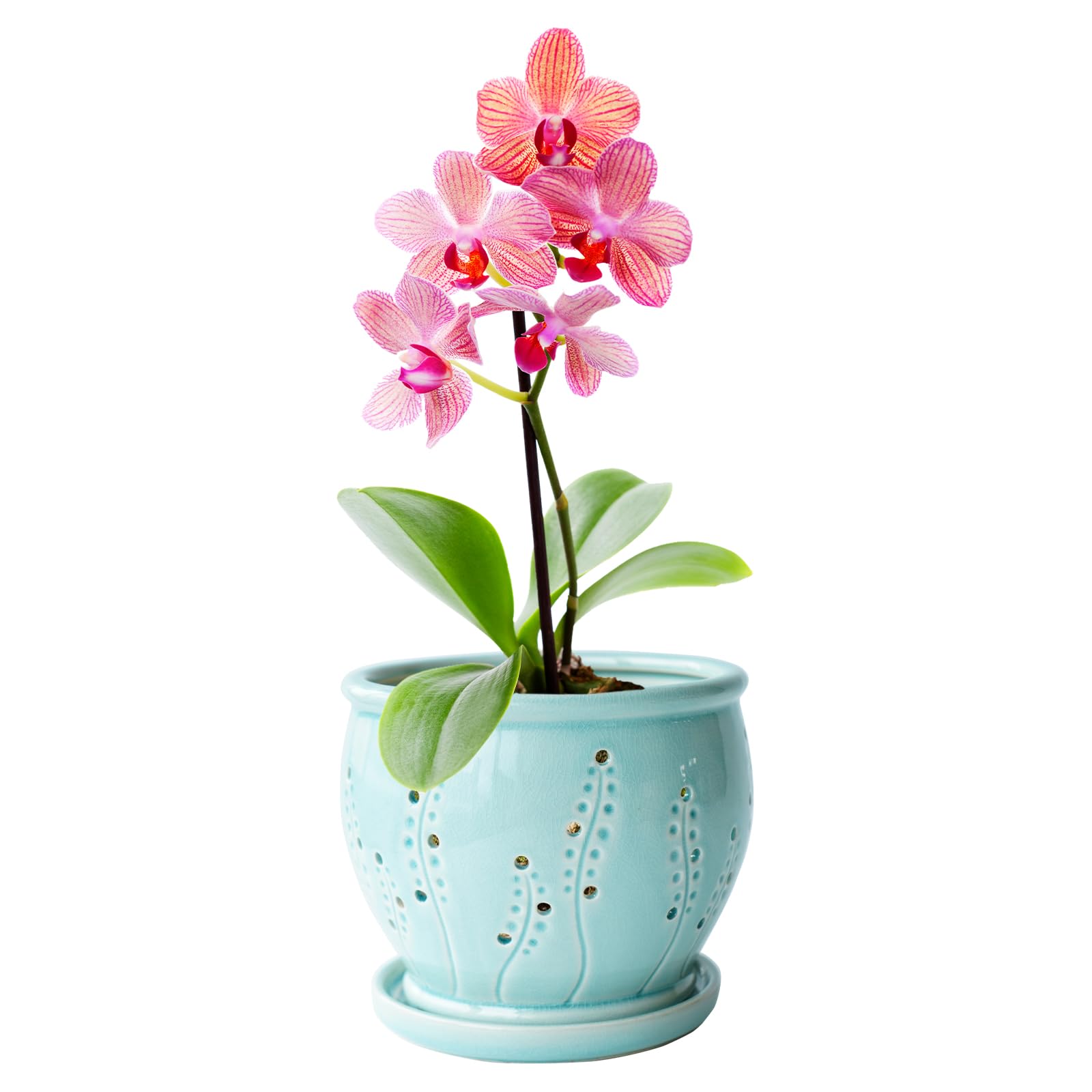 pavtner pot on windowsill lifestyle scene adding decor and plant care convenience