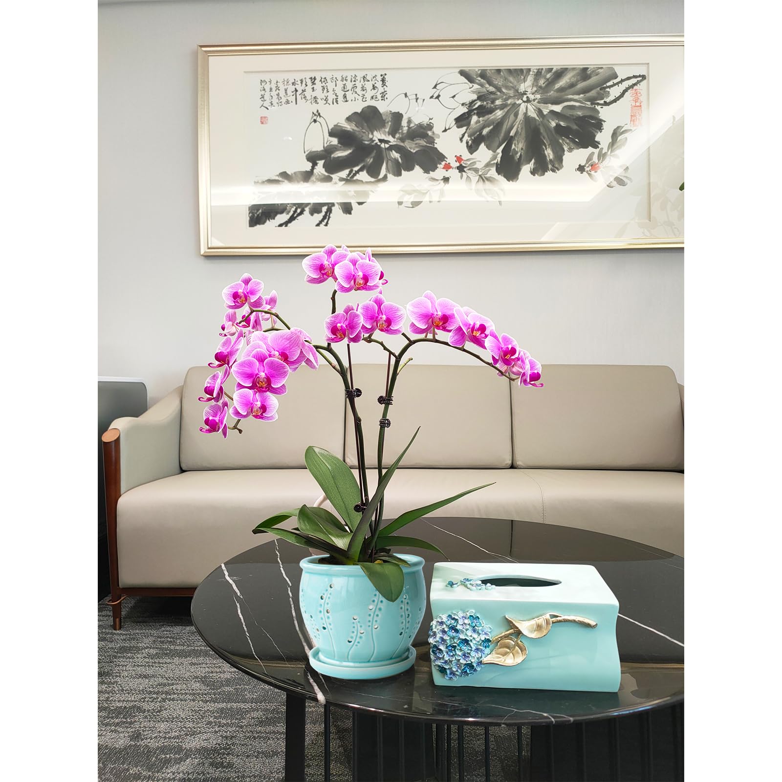 pavtner orchid planted in pot demonstrating healthy root environment and beauty