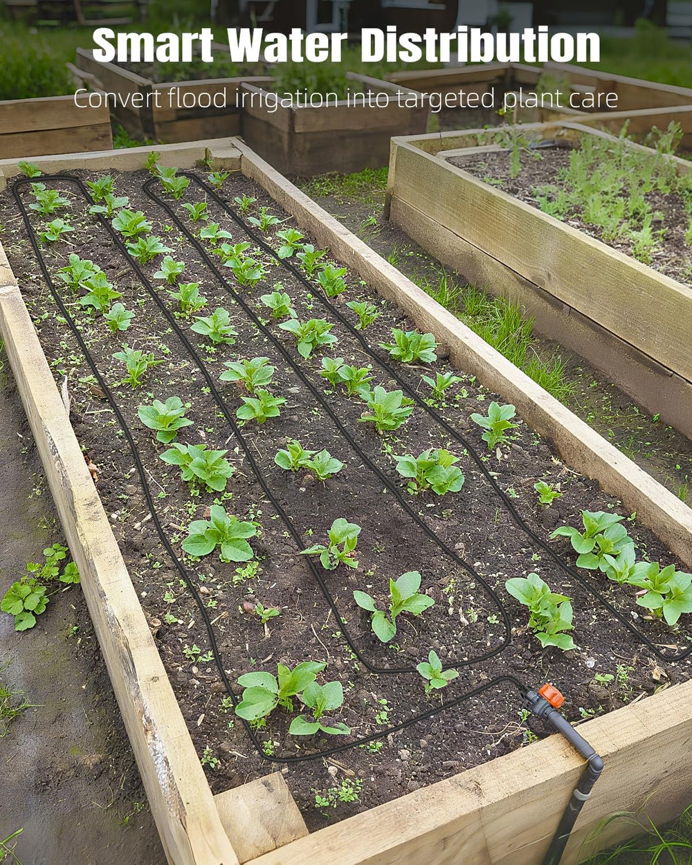 Pawfly tubing installed in a raised bed demonstrating targeted watering