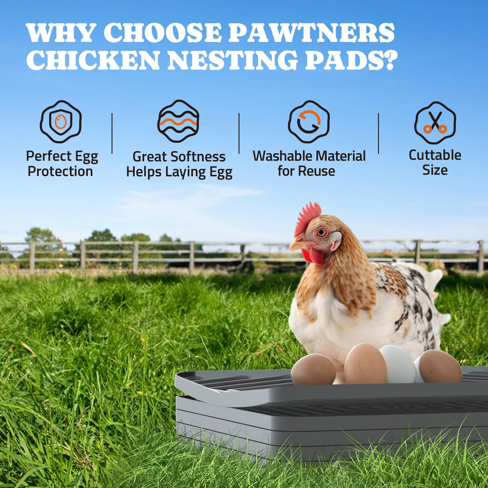 Pawtners pad edge ridges detail protecting eggs from rolling