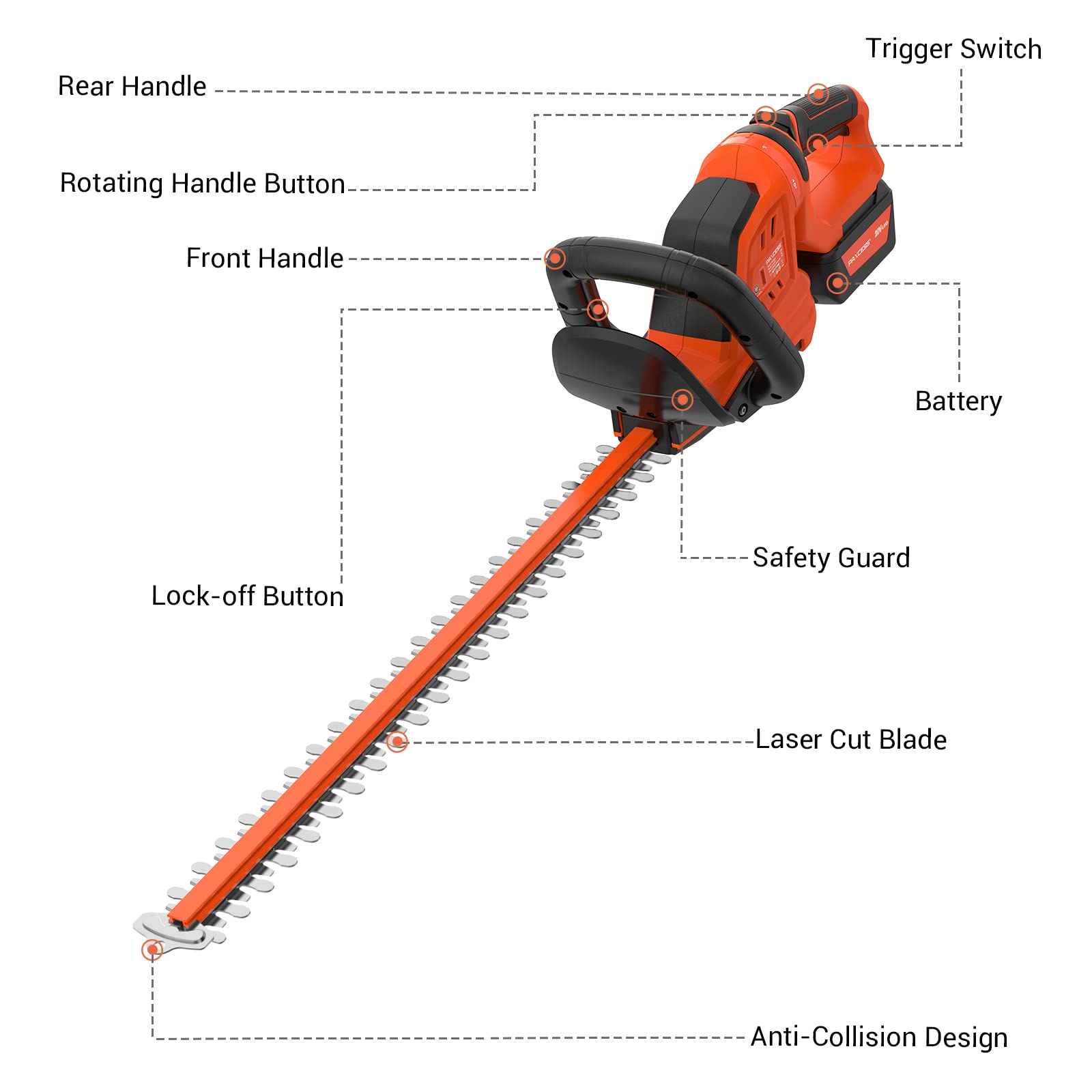 PAXCESS close-up of dual-action blade, precise-clean cutting benefit