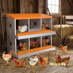 PeakPursuit front view of 6-compartment nesting box showing organized egg access and durability