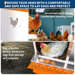 PeakPursuit removable tray detail for fast egg collection and easier cleaning