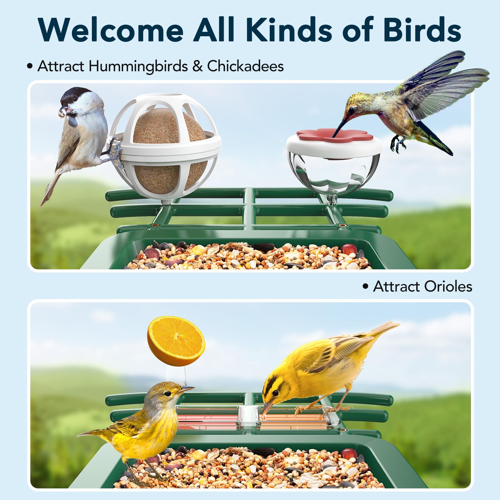 PeckCam app live feed screenshot, allows remote viewing and sharing benefit