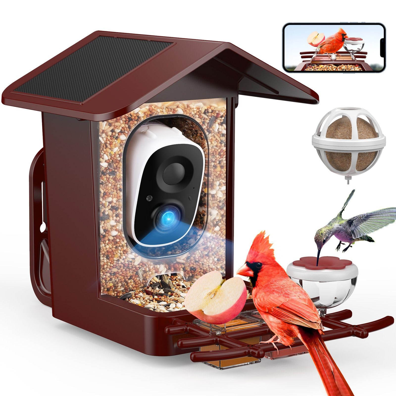 PeckCam front view showing feeder and camera, clear backyard observation