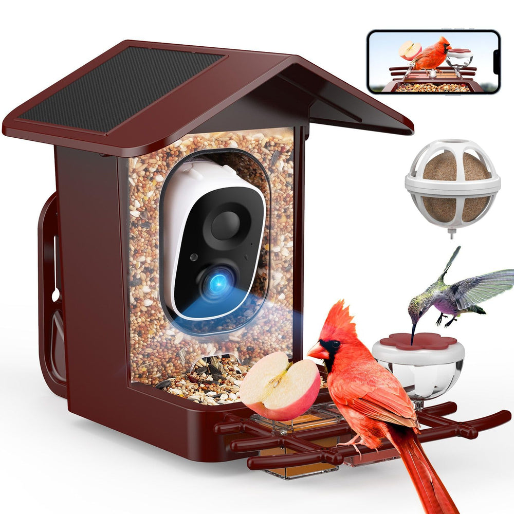 PeckCam front view showing feeder and camera, clear backyard observation