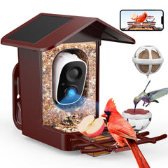 PeckCam front view showing feeder and camera, clear backyard observation