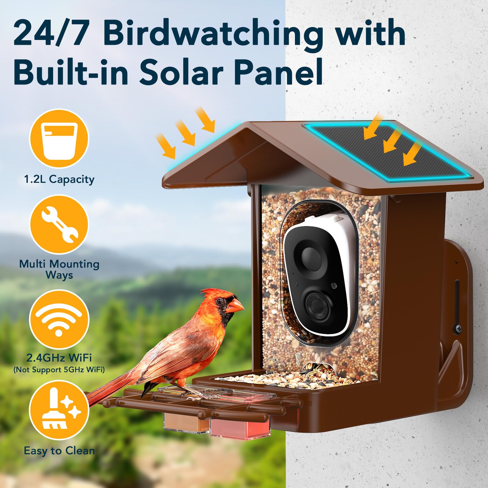 PeckCam feeding attachments array attracting varied species like hummingbirds