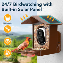 PeckCam feeding attachments array attracting varied species like hummingbirds