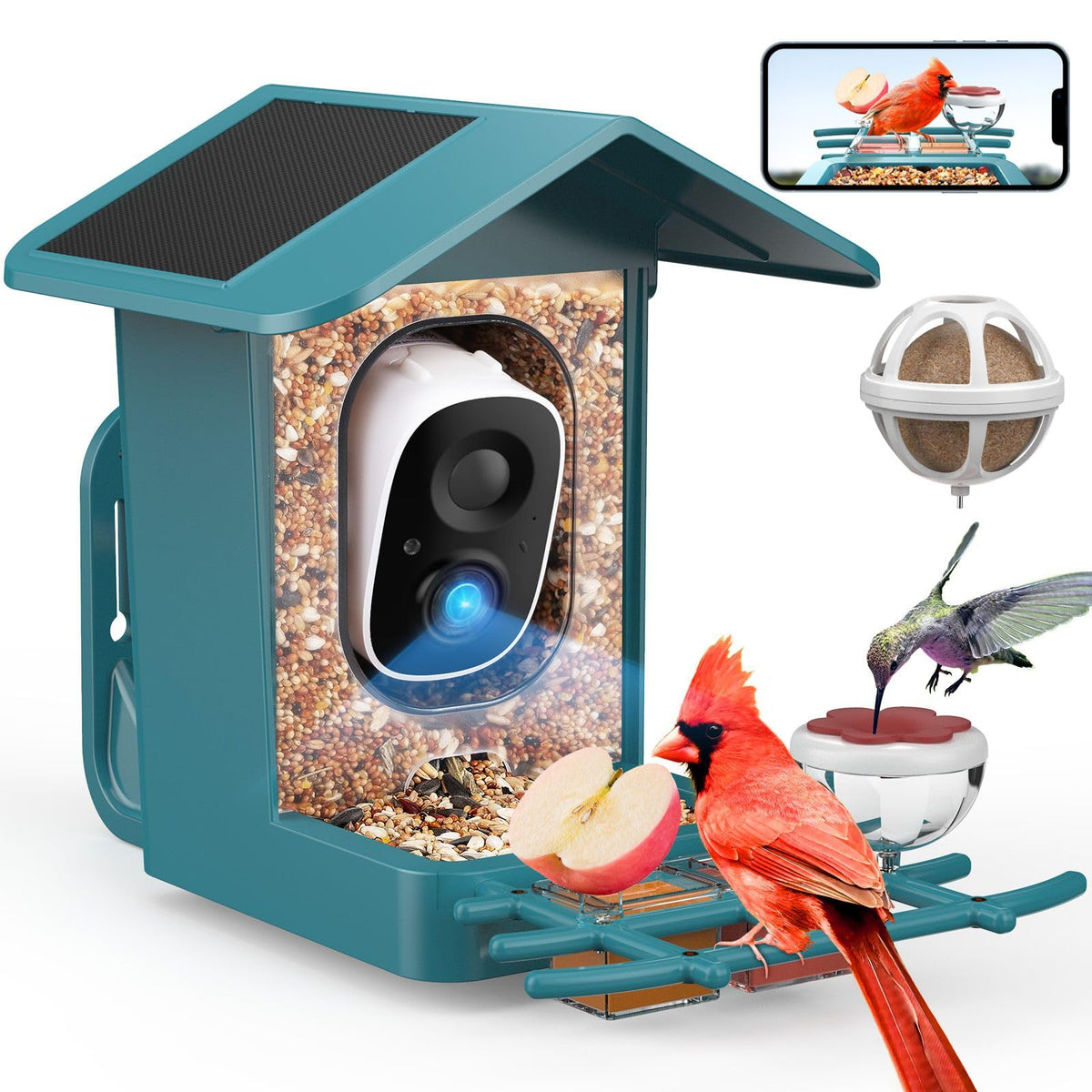 PeckCam front view showing camera and feeder, clear live-stream benefit