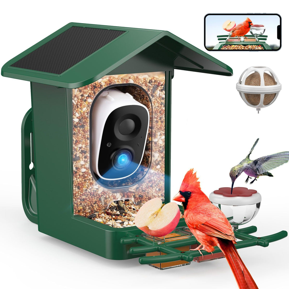 PeckCam front view showing feeder and camera, provides clear backyard monitoring