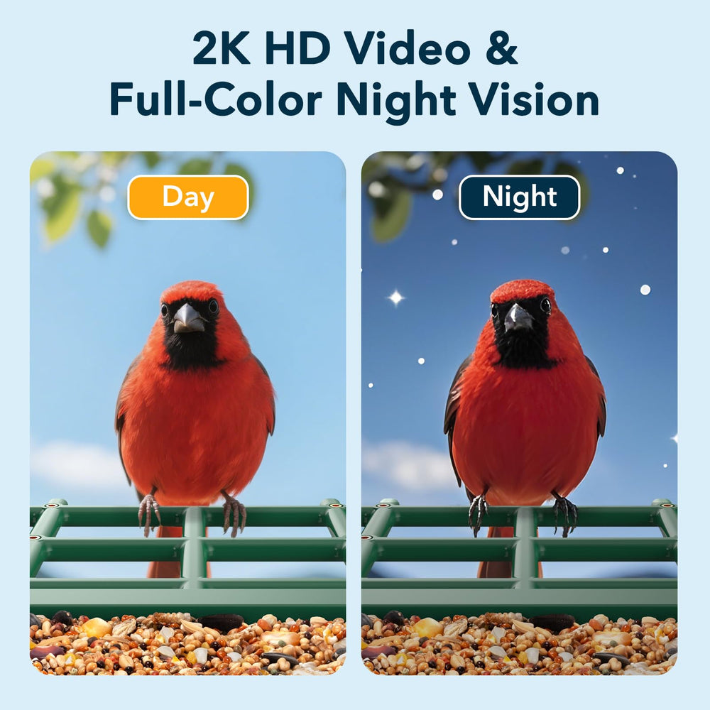 PeckCam scale comparison in hand, illustrates compact size and easy install