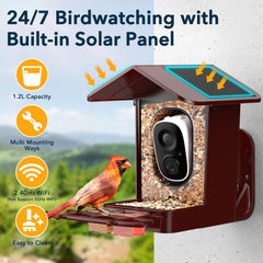 PeckCam top solar panels, continuous charging for uninterrupted monitoring