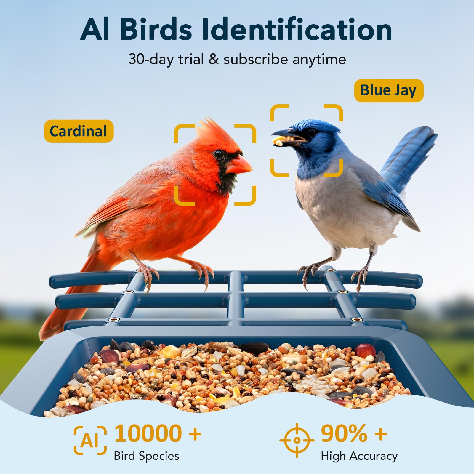 PeckCam suet and honey feeders attached to attract diverse bird species