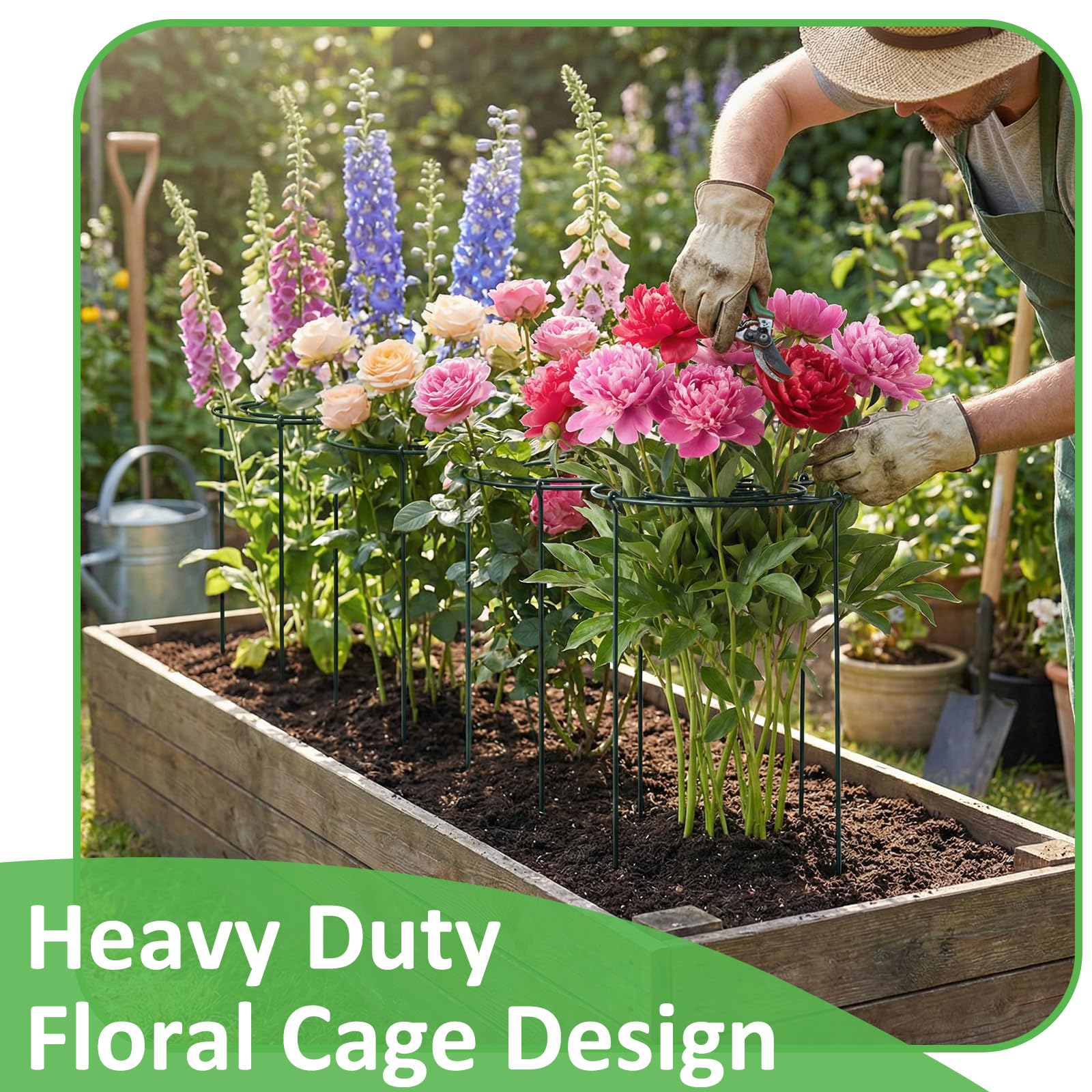 Pelopy cage supporting blooms showing healthier display and reduced droop