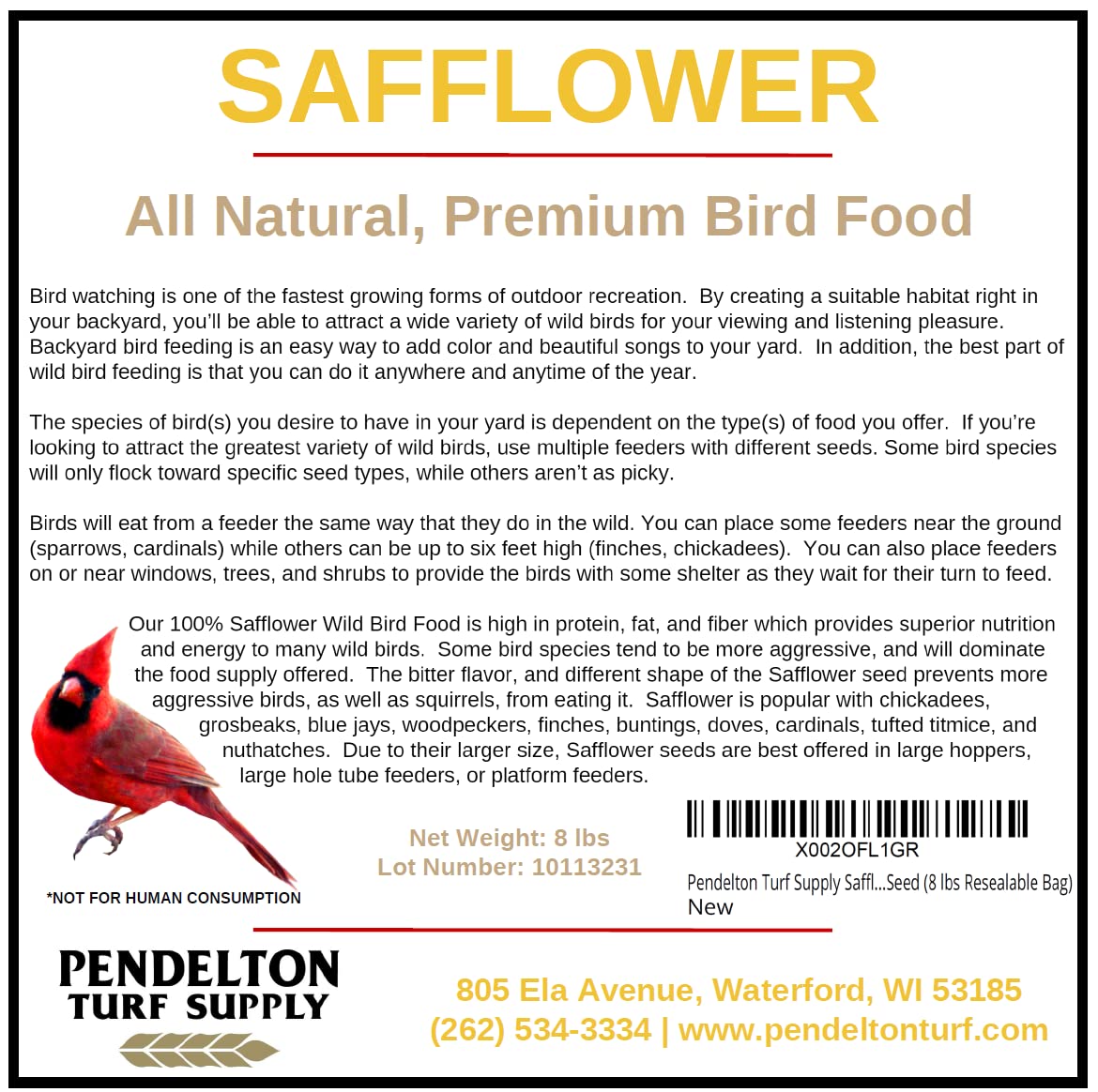 Pendelton Turf Supply safflower seed in a hanging feeder attracting cardinals and chickadees