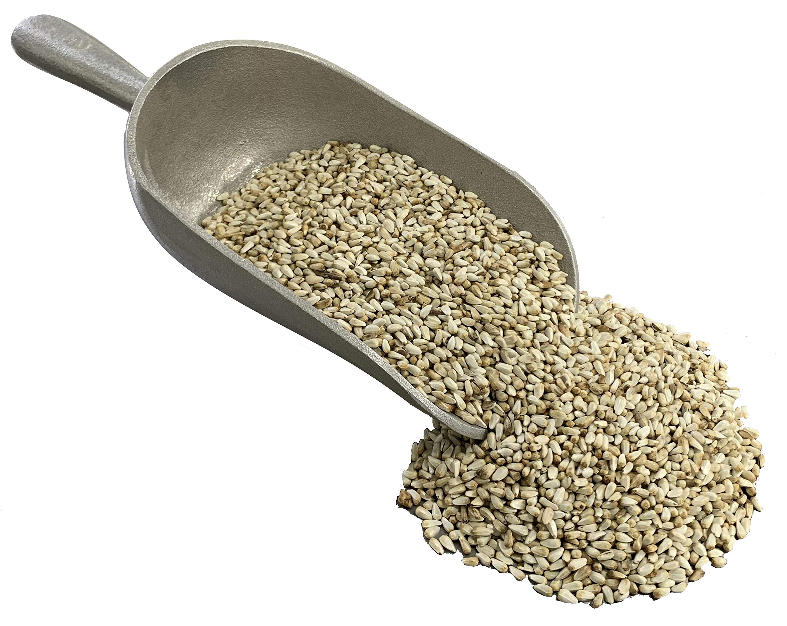 Pendelton Turf Supply closeup of safflower seed texture highlighting high quality kernels