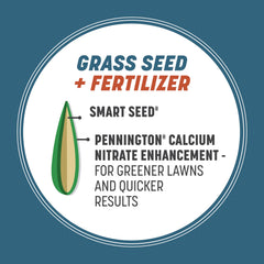 Established lawn from Pennington seed demonstrating deep-green turf
