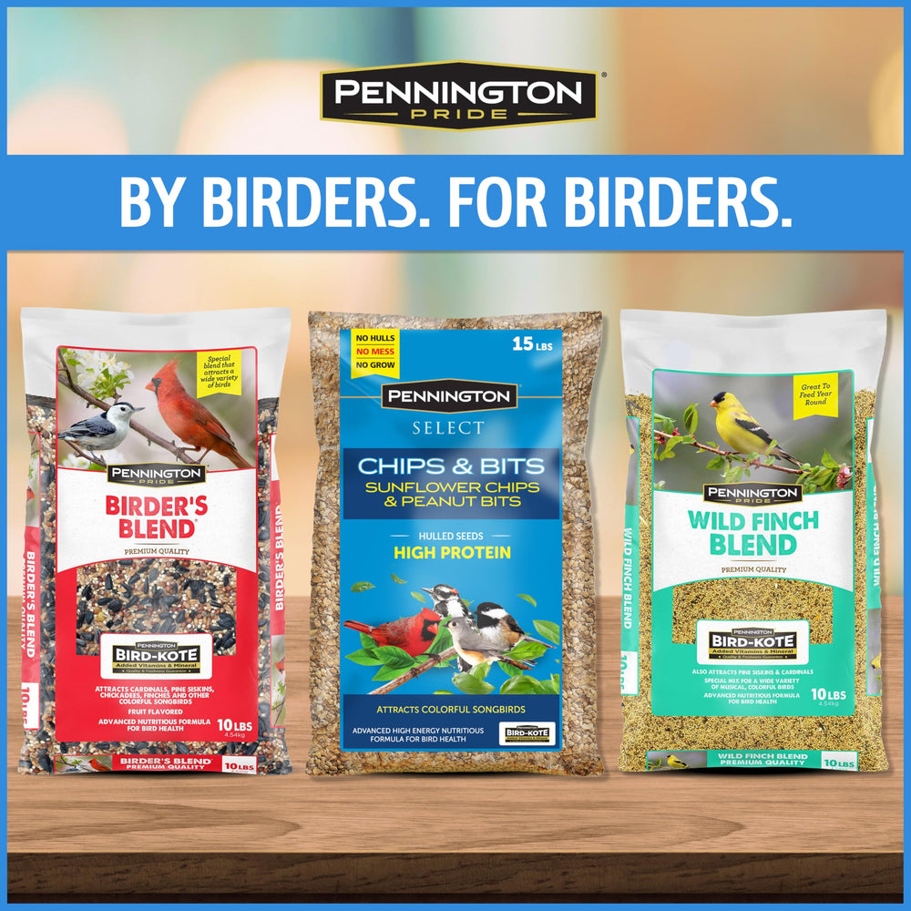 Feeder with a cardinal enjoying Pennington mix illustrating attraction of colorful birds