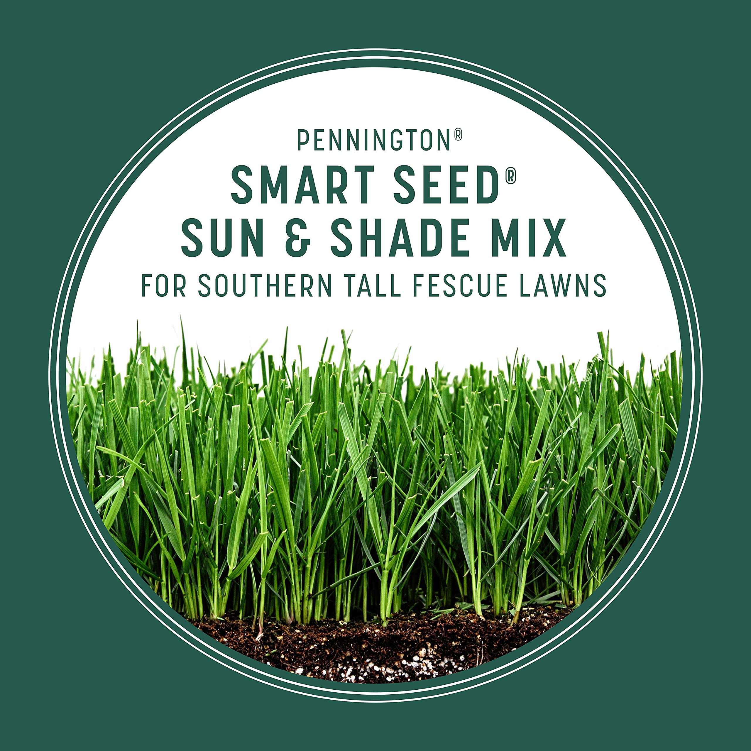 Applying Pennington seed during overseeding to restore thin turf