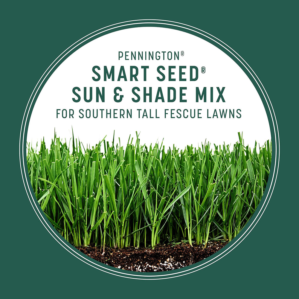 Applying Pennington seed during overseeding to restore thin turf