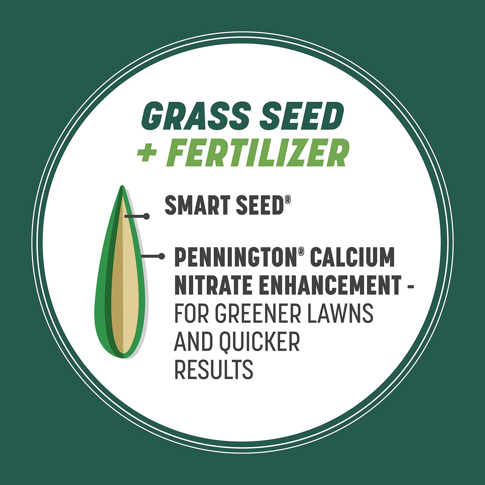 Young grass sprouts from Pennington seed demonstrating fast germination