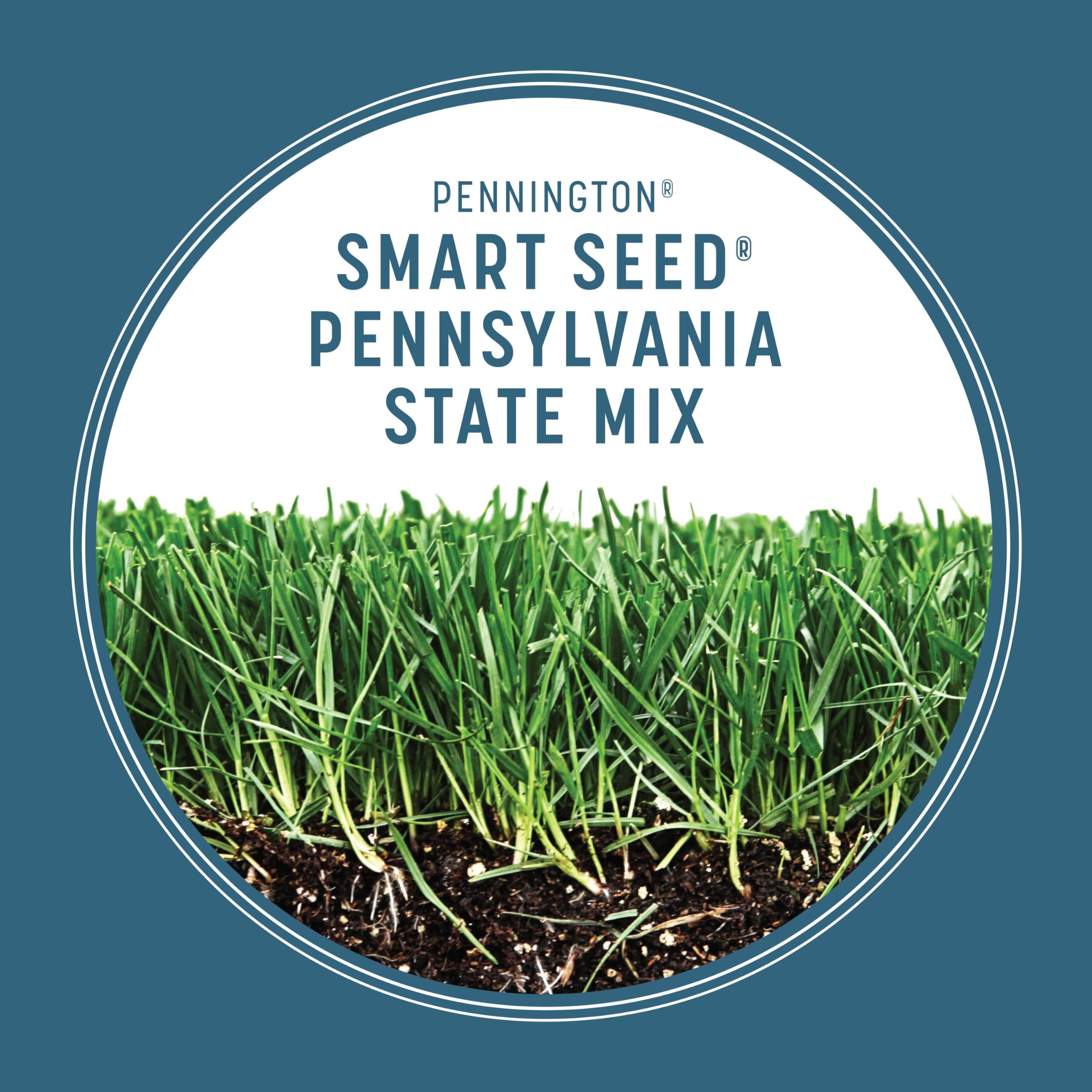 Pennington product label image showing fertilizer-enhanced seed benefits