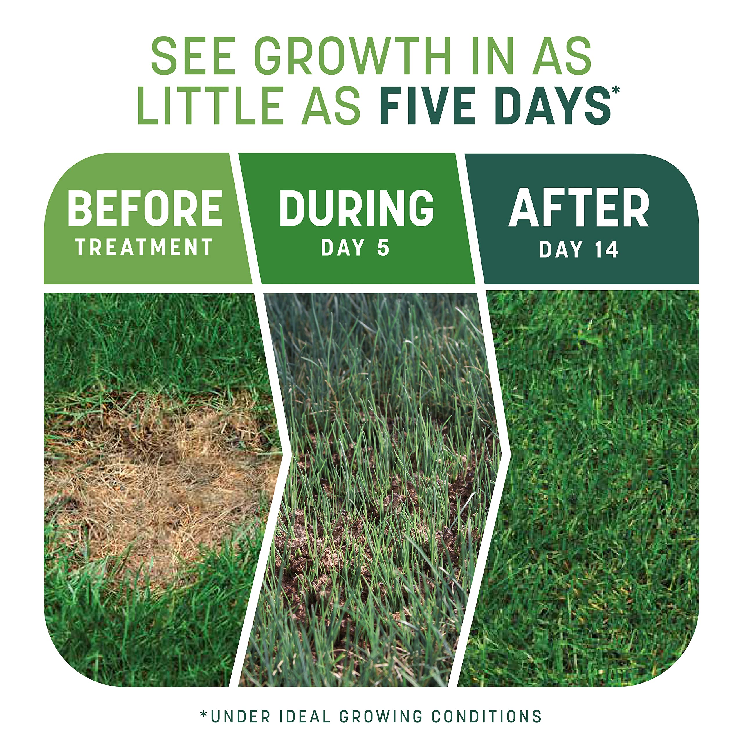 Pennington mulch and organic matter detail promoting moisture retention and soil support