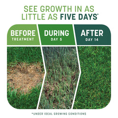Pennington mulch and organic matter detail promoting moisture retention and soil support