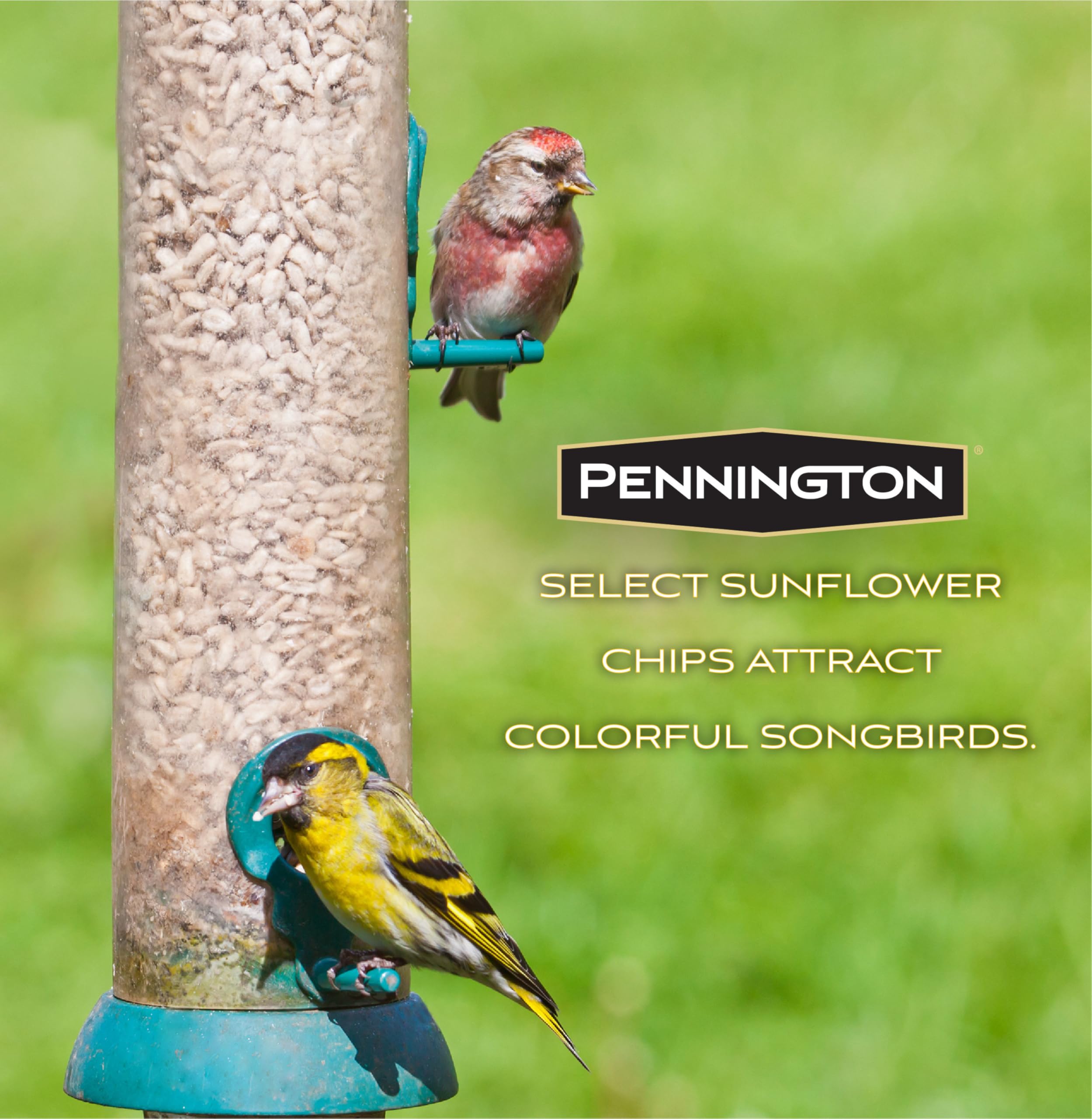 Pennington nutrition label close-up showing Bird Kote ingredients
