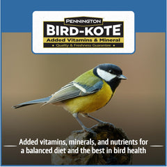 Pouring Pennington wild bird food into an outdoor feeder for simple filling