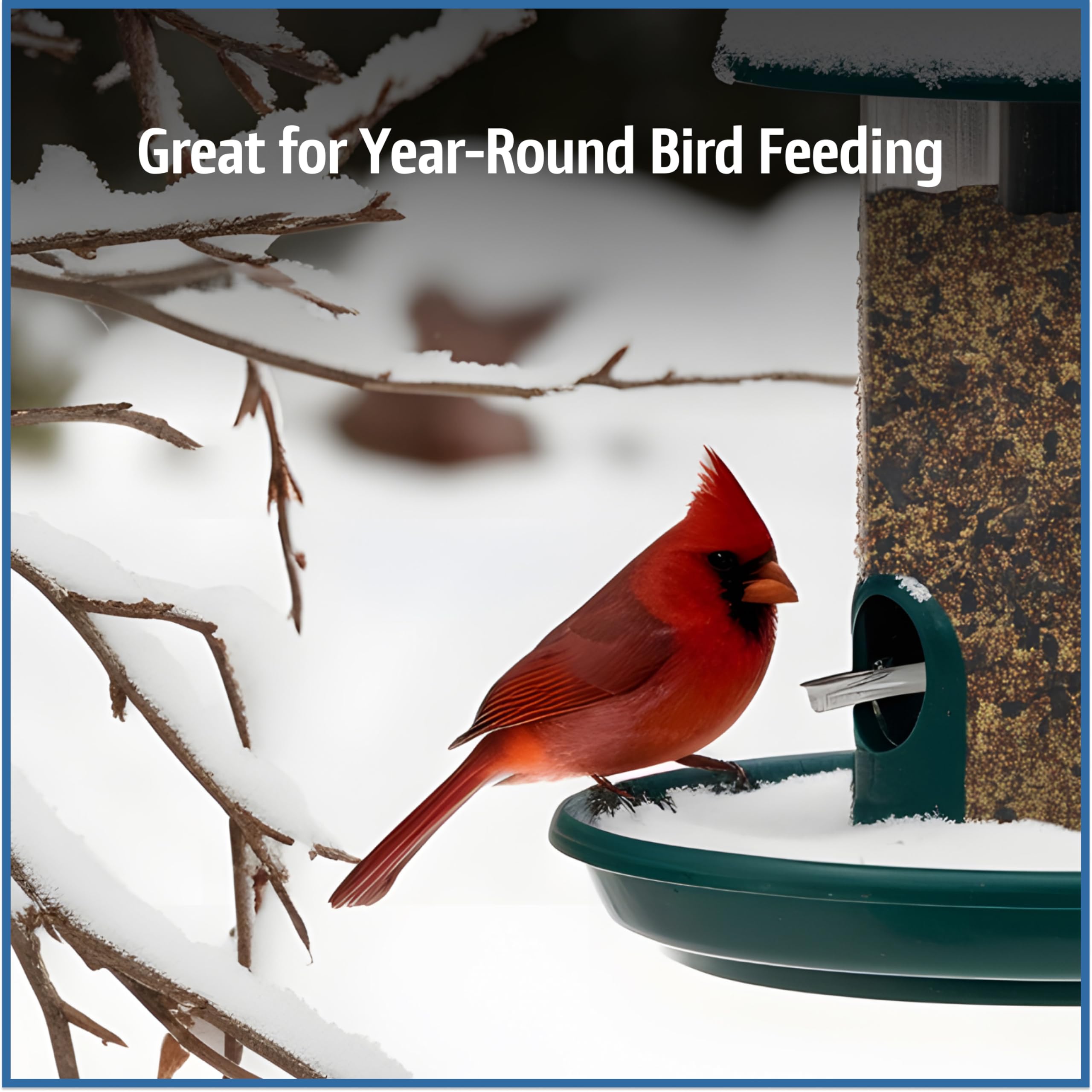 Pennington seed spread on platform feeder attracting ground-feeding birds