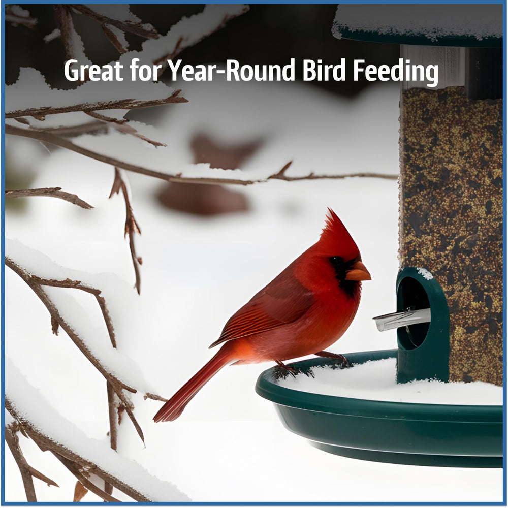 Pennington seed spread on platform feeder attracting ground-feeding birds