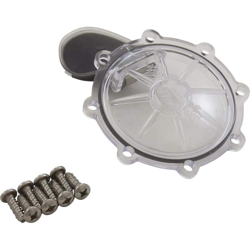 Pentair 2" CPVC check valve front view showing body and cap, durable OEM fit