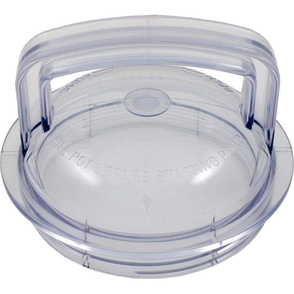 Pentair 355301 front lid showing clear top for quick basket checks and leak prevention